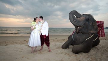 Phuket Elephant Wedding Package