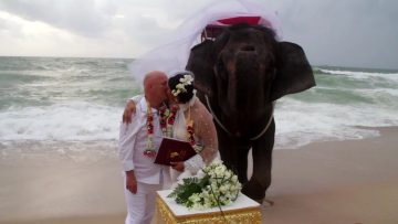 Phuket Beach Elephant Marriage