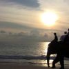 Phuket Beach Elephant Wedding
