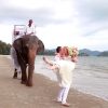 Krabi Elephant Marriage Package